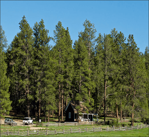 Historic ranger station in trees